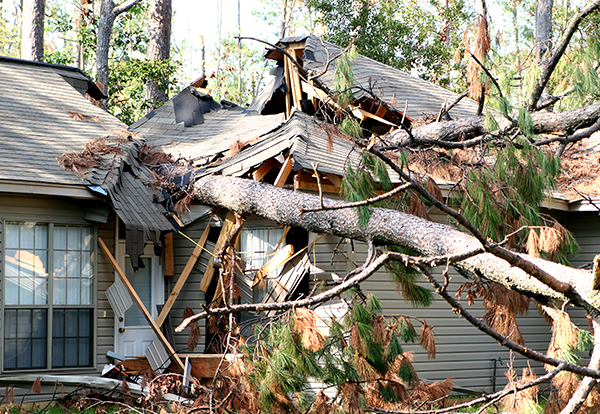 Emergency Roofing Services