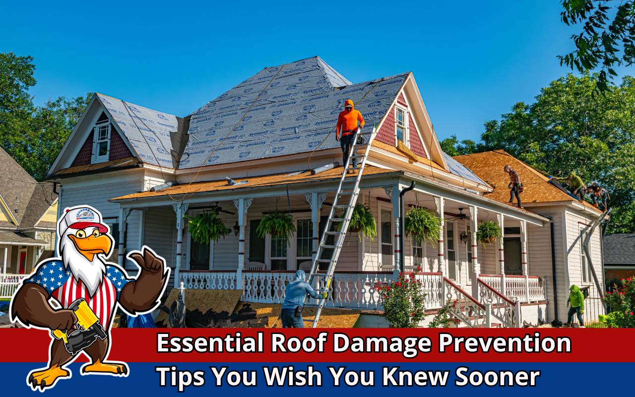 Roof maintenance and inspection guide with prevention tips